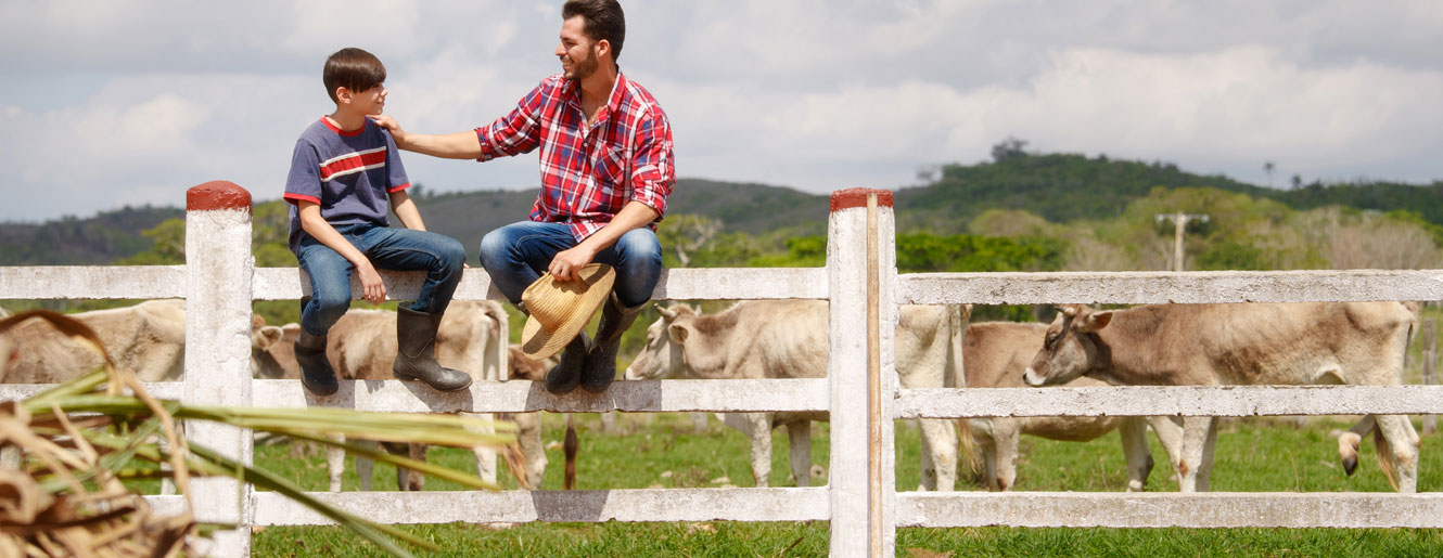 Man and boy sitting on fence